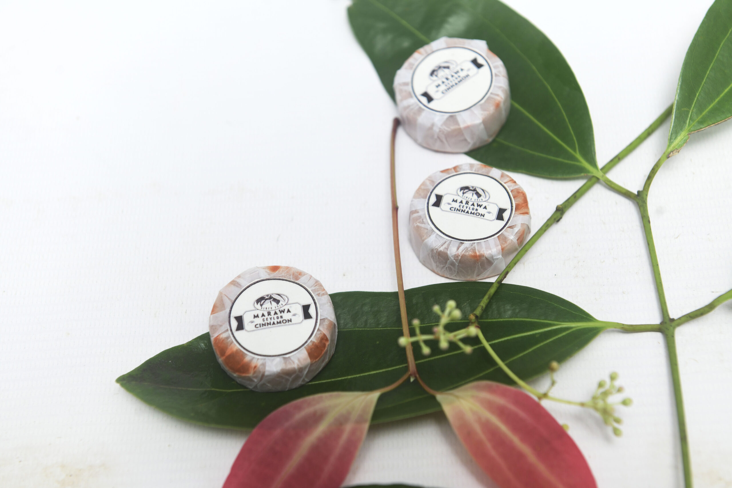 The Marawa Wellness Starter Bundle - "Your Daily Ritual – Infused by Nature"